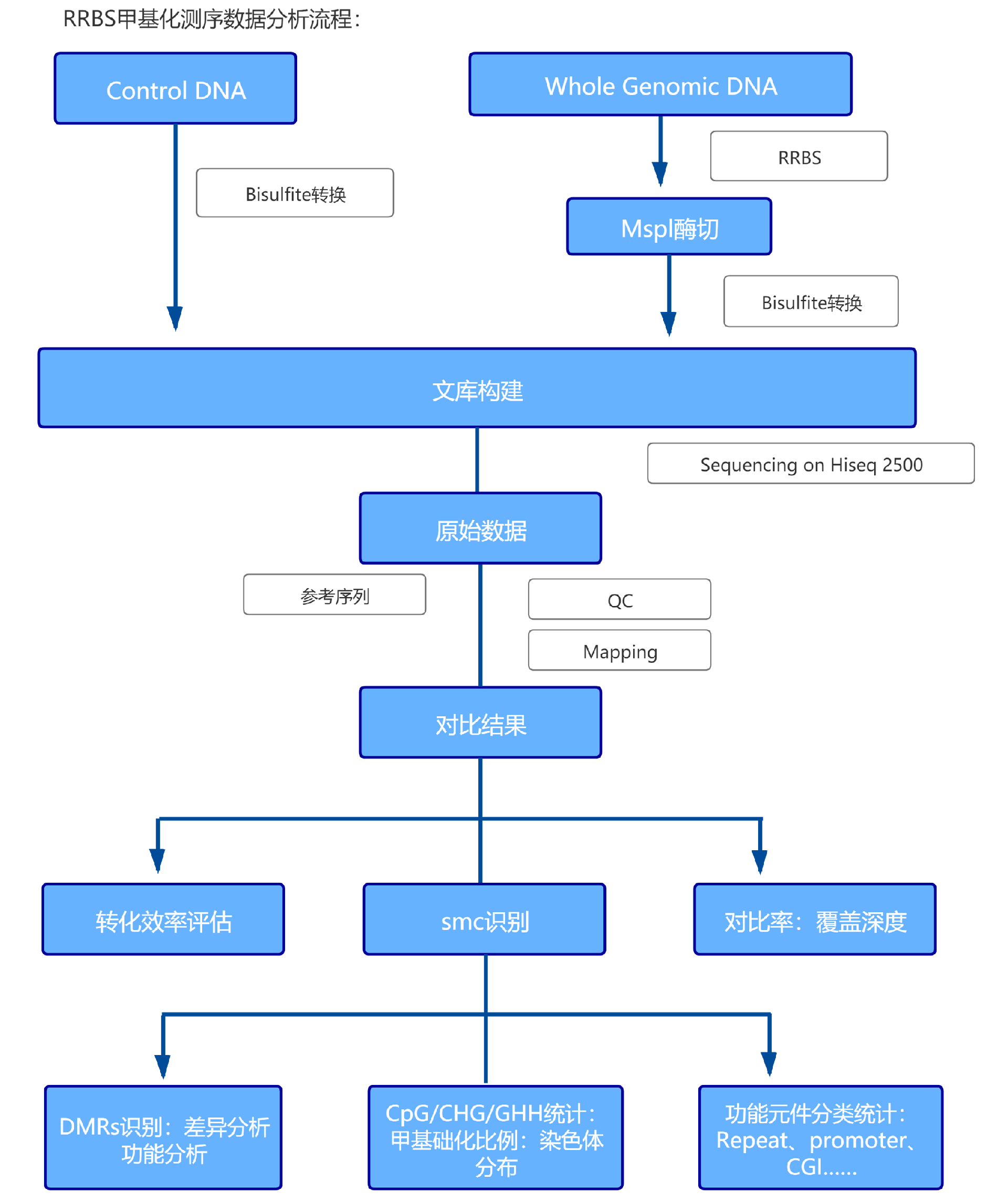 MBD�׻��������������