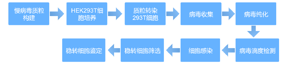 ���ٲ���ϸ���깹��