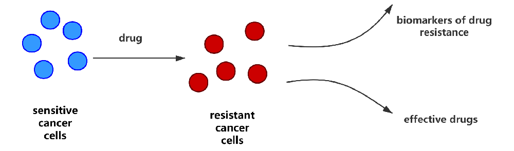 ��ҩϸ���깹��