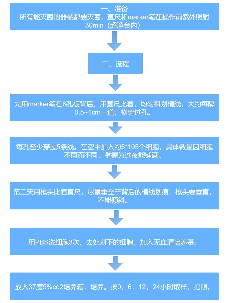 ϸ������ʵ��