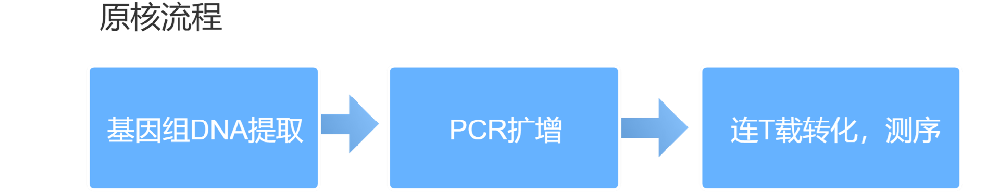 ������ȡ