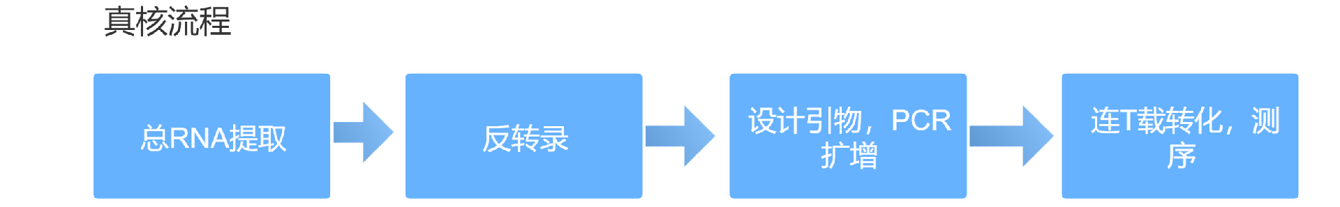 ������ȡ