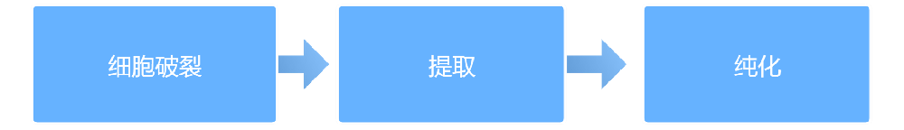 ������ȡ