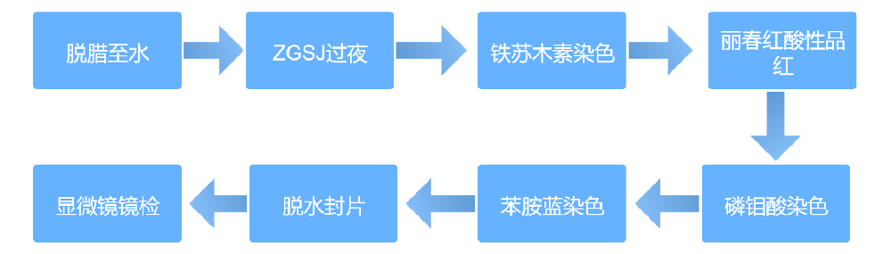 07850f662d8d9b38f79ca2130b73487a_1716287979184141.png 07850f662d8d9b38f79ca2130b73487a_1716287979184141.png