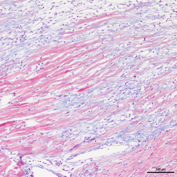 e82b23a95a393faae604e896fd5b61ac_1716287980426344.jpg e82b23a95a393faae604e896fd5b61ac_1716287980426344.jpg